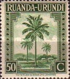 [Local Motifs - Palm Trees, type AF5]