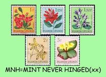 [Definitive 1953 - Flora of the Colony - (Perf. 11½), type BE]