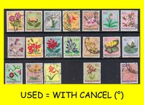 [Indigenous Flora, Tipi BJ]