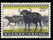 [Fauna, Scrivi BZ]