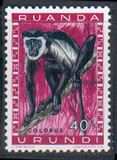 [Fauna, Scrivi CA]