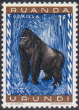 [Fauna, Scrivi CB]