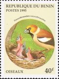 [Birds and their Young, type QI]