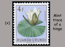 [Indigenous Flora, Tipi BJ]