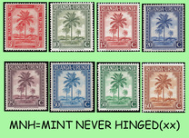 [Local Motifs - Palm Trees, type AE]