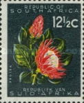 [Definitive Issue, Tüüp IG]