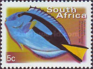 [Fauna and Flora - Fish, 类型 ASI]