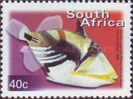 [Fauna and Flora - Fish, 类型 ASM]