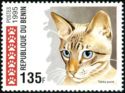 [Cats, τύπος PU]
