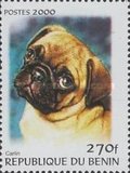 [Not Issued - Dogs, Scrivi QQD]