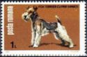 [Dog Show "Canina", type FFT]