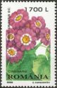 [Ornamental Plants, type HUM]