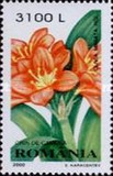 [Ornamental Plants, type HUN]