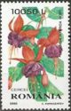 [Ornamental Plants, type HUP]