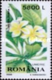 [Ornamental Plants, type HUO]