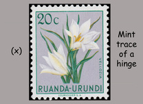 [Indigenous Flora, típus AY]