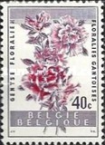 [Gent Flower Festival, type XR]