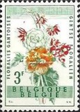 [Gent Flower Festival, type XS]
