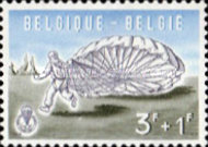 [Parachute jumping, Scrivi YB]