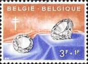 [The struggle against Tuberculosis, type ZA]