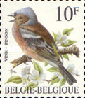 [Birds, type BNI]
