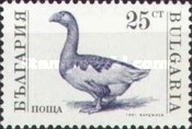 [Domestic Animals, Tipo ELY]