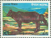 [Domestic Animals, type FN]