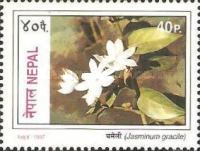[Flowers, type TB]
