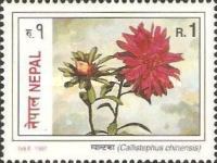 [Flowers, type TC]