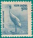 [Wildlife, type BID]