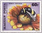 [Insects Polinating Flowers, type DUD]