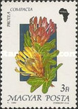 [Flowers, type ETW]