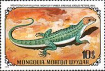 [Reptiles, type YQ]