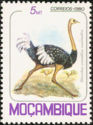 [Birds, प्रकार PE]