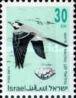 [Songbirds, type ATB]