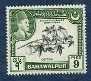 [The 25th Anniversary of the Reign of Sadeq Mohammad Khan V, type N]