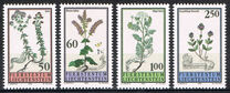 [Flora., tipo ALI]