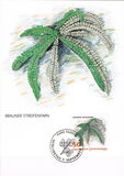 [Ferns, jenis AKM]