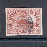 [Beaver, type D]