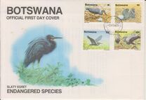 [Birds - Slaty Egret, Typ QM]