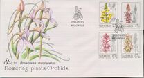 [Orchids, 类型 JT]