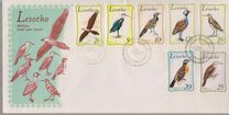 [Birds, type CR]