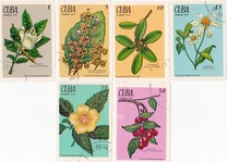 [The Medicinal Plants, type BIK]