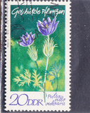 [Protected Plants, տեսակ ASR]