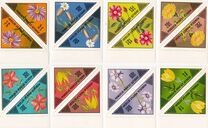 [Mongolian Flowers, වර්ගය XCO]