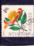 [Flowers, Tipo EU]