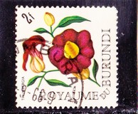 [Flowers, Tipo EX]