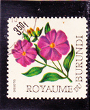 [Flowers, Tipo EZ]
