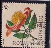 [Flowers, Tipo EU1]
