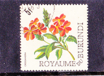 [Flowers, Tipo EV1]